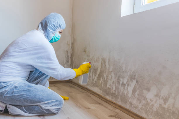 Hvac And Air Duct Mold Remediation inspection of HVAC system in Lowell